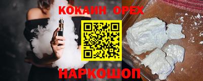 крисы Моздок