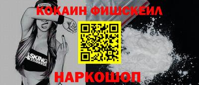 крисы Моздок