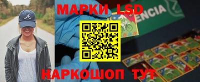 крисы Моздок