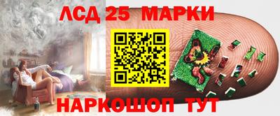 крисы Моздок
