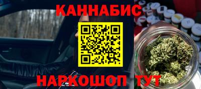 крисы Моздок