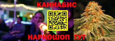 крисы Моздок