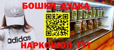 крисы Можга
