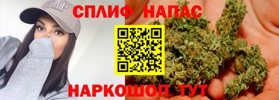 крисы Моздок