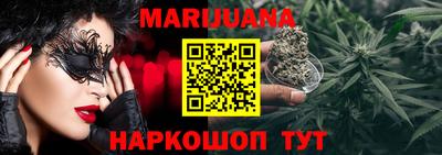 крисы Можга