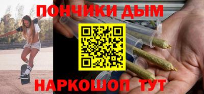 крисы Можга