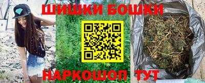 крисы Можга