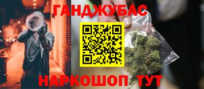 крисы Можга