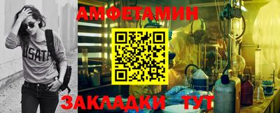 крисы Можга