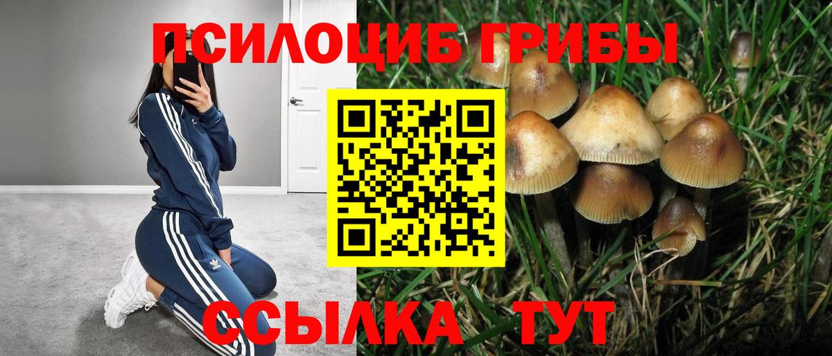 Псилоцибиновые грибы GOLDEN TEACHER Семилуки