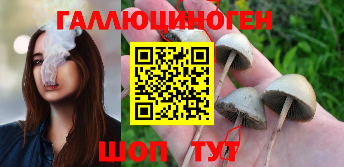 Галлюциногенные грибы Psilocybine cubensis  купить наркотики сайты  Семилуки  Псилоцибиновые грибы Cubensis  Вход с VPN 